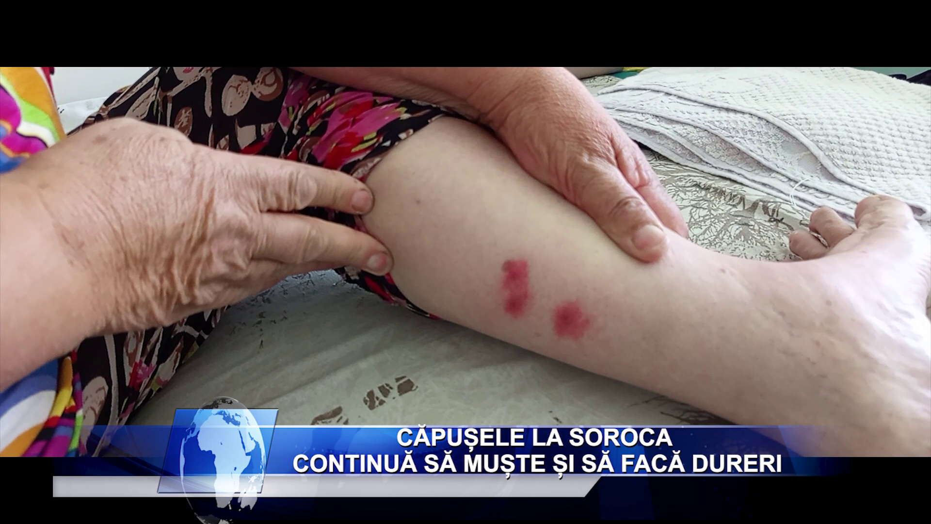 Salariu_mare_și_un_loc_de_muncă_aproape_de casă_Ceși_mai_doresc_candidații_moldoveni_LucruMD