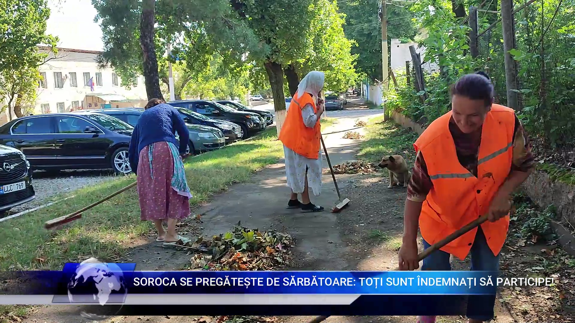 Salariu_mare_și_un_loc_de_muncă_aproape_de casă_Ceși_mai_doresc_candidații_moldoveni_LucruMD