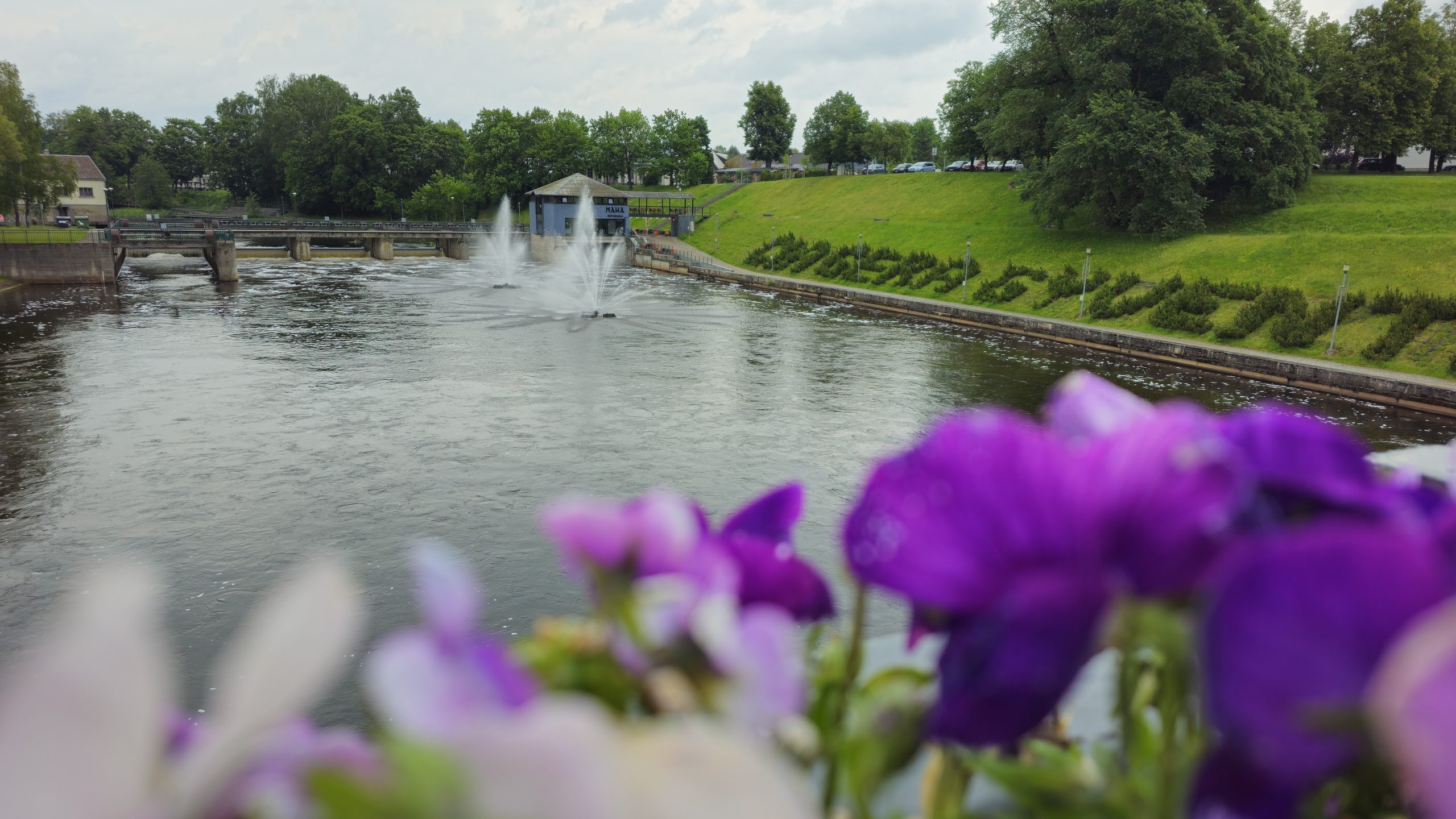 Salariu_mare_și_un_loc_de_muncă_aproape_de casă_Ceși_mai_doresc_candidații_moldoveni_LucruMD